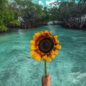 Meet your Posher, Millie